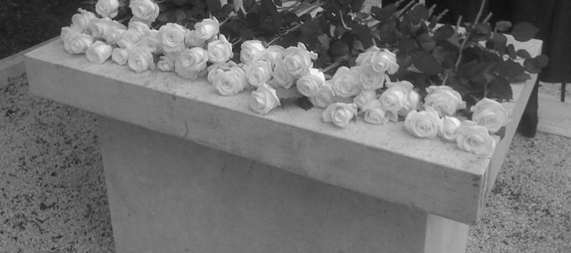 Weiße Rosen zum Gedenken der Vorfahren Weiße Rosen zum Gedenken der Vorfahren